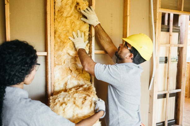 Insulation Replacement Services in Natchez, MS