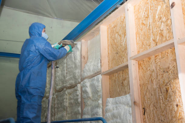 Best Insulation Contractor Near Me  in Natchez, MS