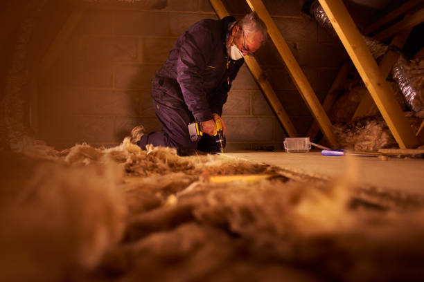 Best Wall Insulation Contractor  in Natchez, MS