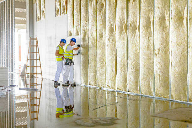 Best Fiberglass Insulation  in Natchez, MS
